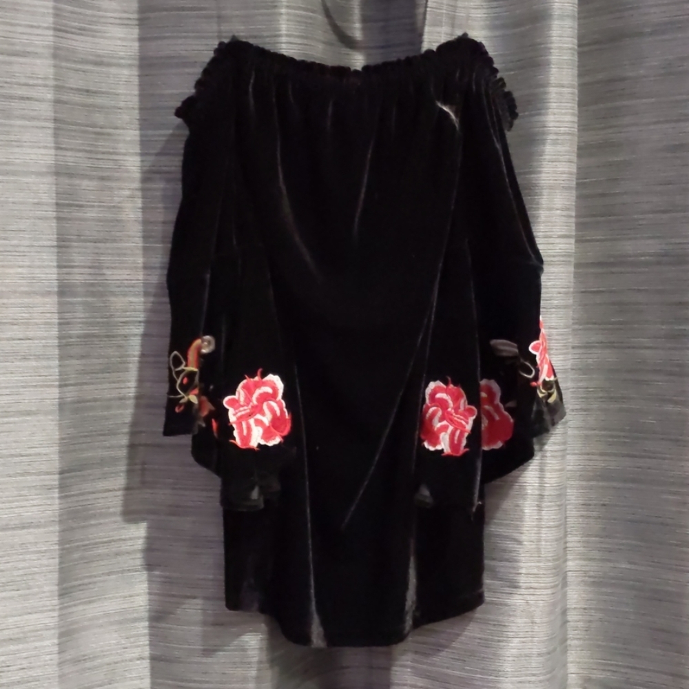 Francesca's Velvet Dress